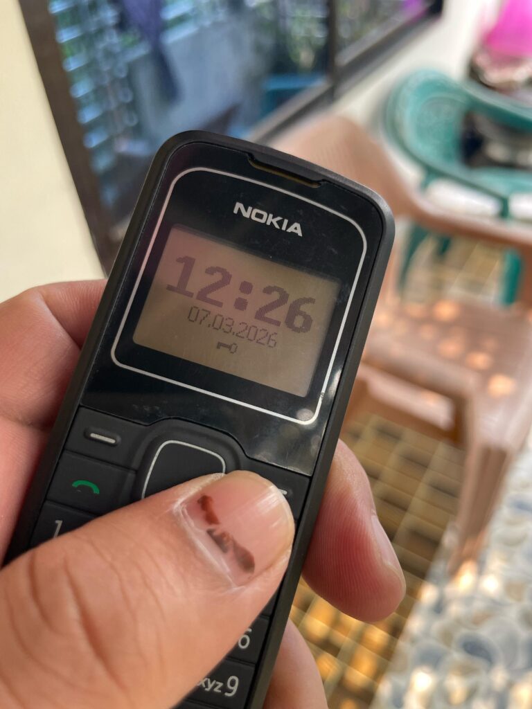 Image #5 from Shakib