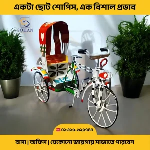 Hand painted Rickshaw miniature Showpiece steel body Price In Bangladesh