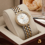 Titan Two-Tone Crystal Roman Dial Men's Watch - Sohan Online Shop