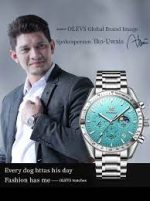 Butter Fly Lock OLEVS Watch for mens (stell chain paste dial ) - Sohan Online Shop