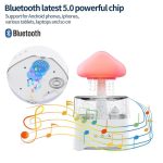 5-in-1 Rain Cloud Humidifier & Bluetooth Speaker - Sohan Online Shop